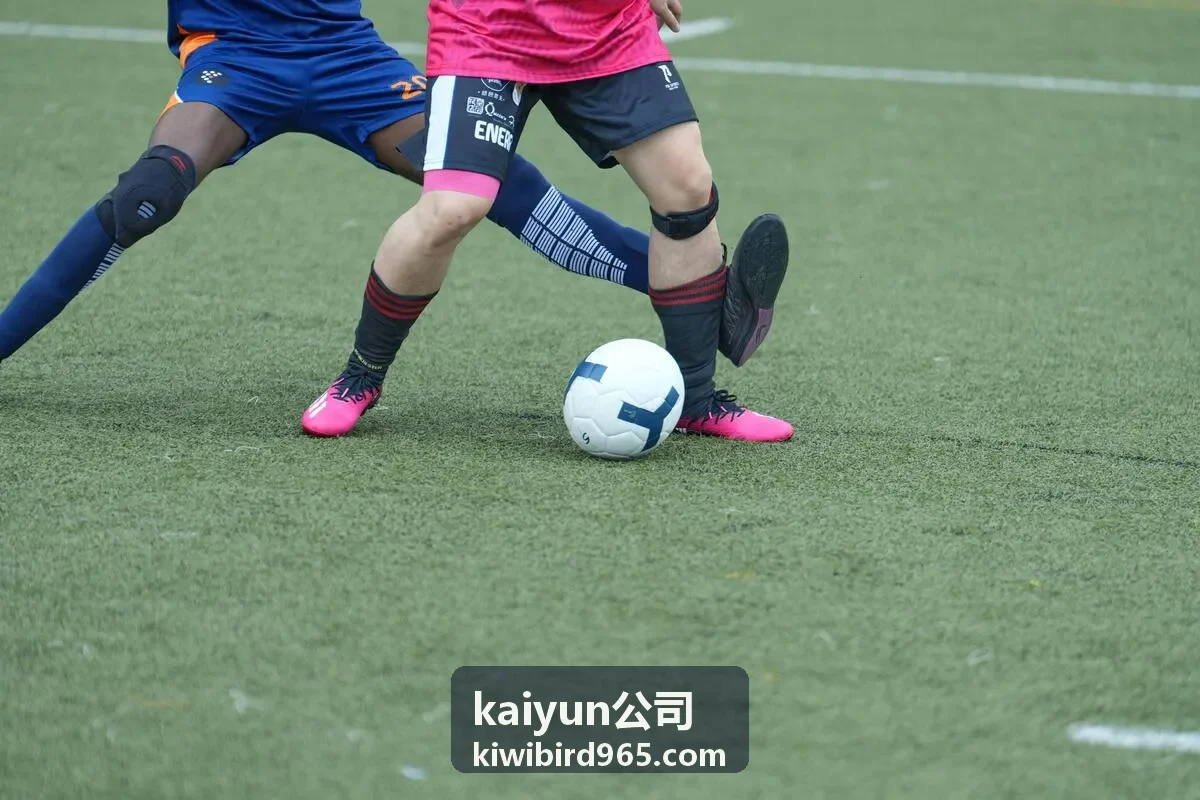 kaiyun公司企业服务支持体系介绍